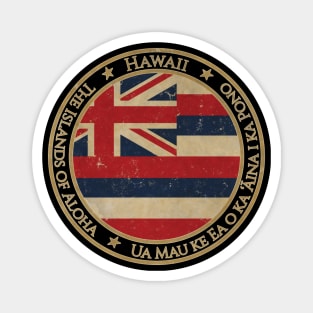 Vintage Hawaii USA United States of America American State Flag Magnet